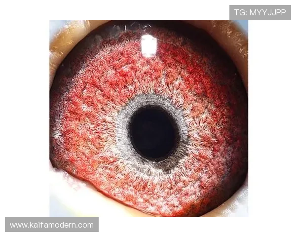AG国际客户端最新版本下载安装流程详解，确保游戏体验流畅无忧AG国际客户端功能升级，为玩家带来更优质的娱乐体验