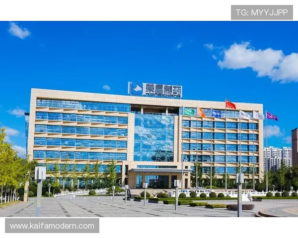 凯发集团平台苹果版下载官方渠道推荐,避免非正规途径带来的安全风险 凯发集团平台苹果版下载官方渠道推荐,避免非正规途径带来的安全风险